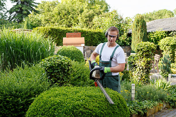 Landscape Design and Installation in Southern Pines, NC